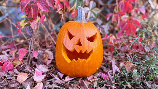 Tanta storia dietro alla zucca di HALLOWEEN, la conoscete?
