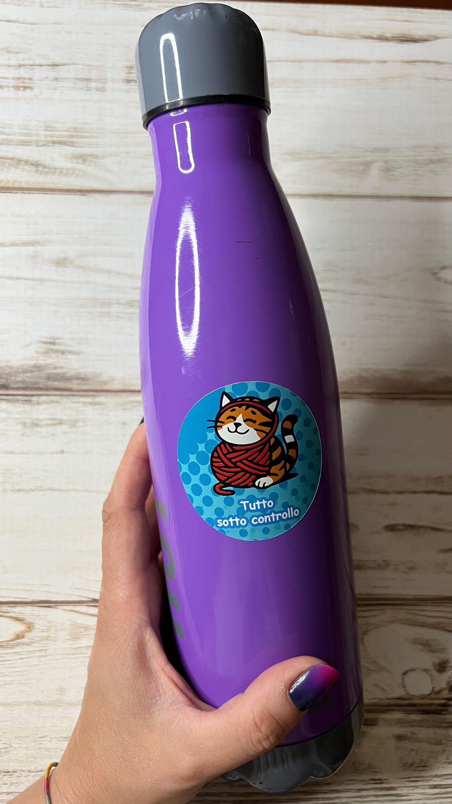 “Rosetta Stickers – Set adesivi A5 (7 gatti adorabili + 1 di Wabliu loves cats)”